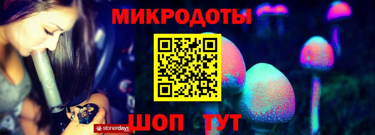 как найти наркотики  Вход с VPN  Нижний Новгород  Псилоцибиновые грибы мицелий 